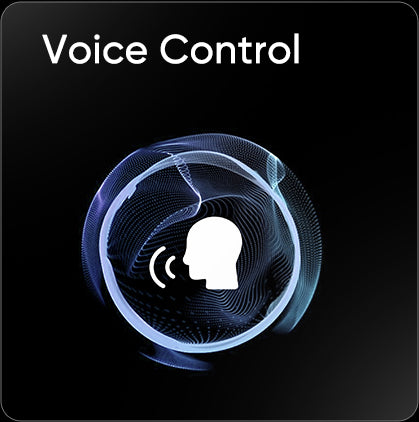 06.jpg__PID:fb424329-3b34-4d97-b7f9-5bd3bc8403af