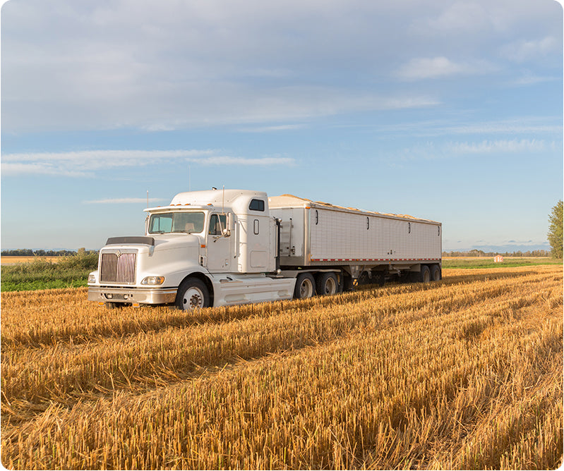 2_67.jpg__PID:198ed30b-6a96-495b-8e1d-e390855063d5