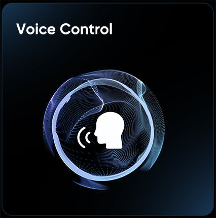 6.jpg__PID:6b12e6b8-fa26-4d46-8731-7a95393f04f8